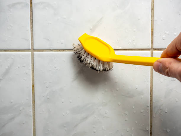 Best Black Mold Remediation in Mount Hope, WV