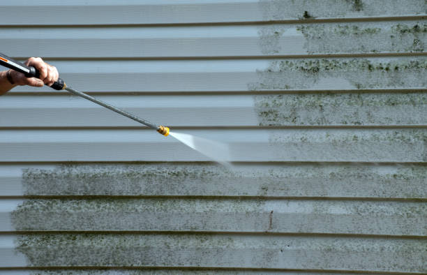 Best Post-Flood Mold Remediation in Mount Hope, WV