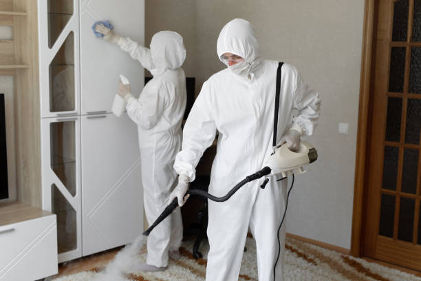 Best Bathroom Mold Remediation in Mount Hope, WV