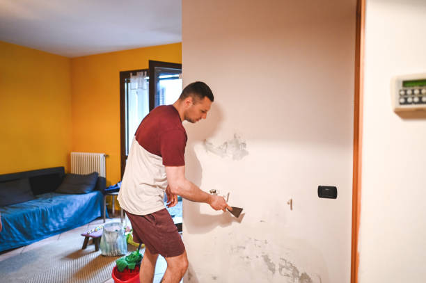 Best Mold Testing and Inspection Services in Mount Hope, WV